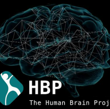 Human Brain Project gelanceerd