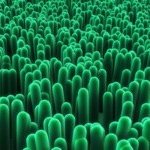 CWI start onderzoeksproject naar bio-energie uit cyanobacteriën